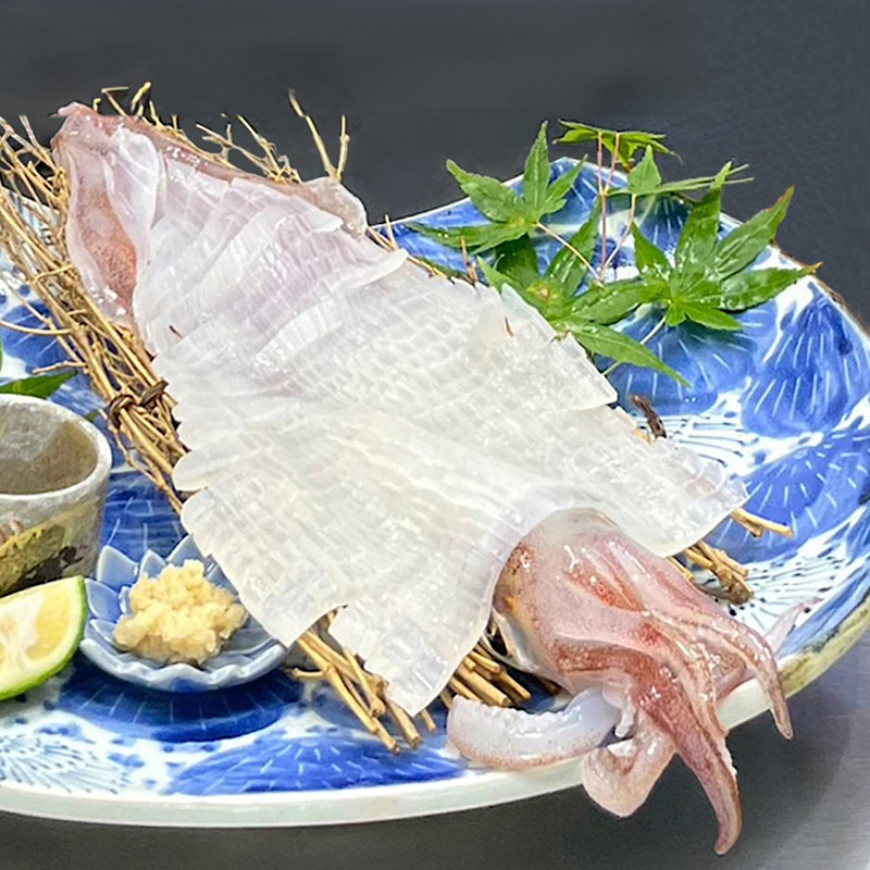 イカの刺身といえばケンサキイカ！丁寧なさばきの姿造りはココで食べられる！魚も良いけどイカは必食です！