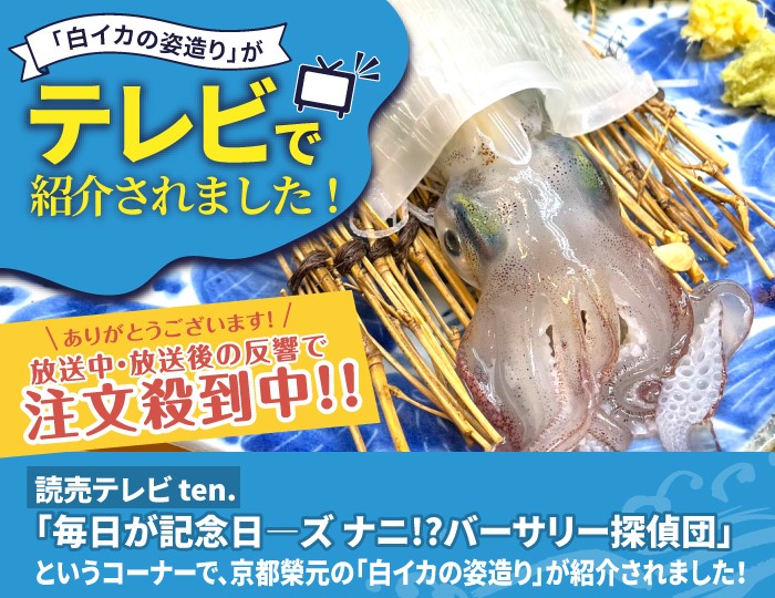 またまた！テレビで紹介されました！京都 榮元 海工房の【白イカの姿造り】