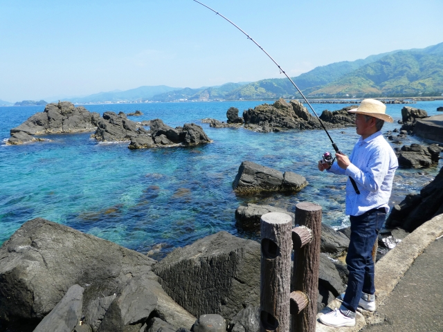 「おかっぱり」ってどんな釣り?ケンサキイカは陸から釣れるのか！?釣果はイカほど?