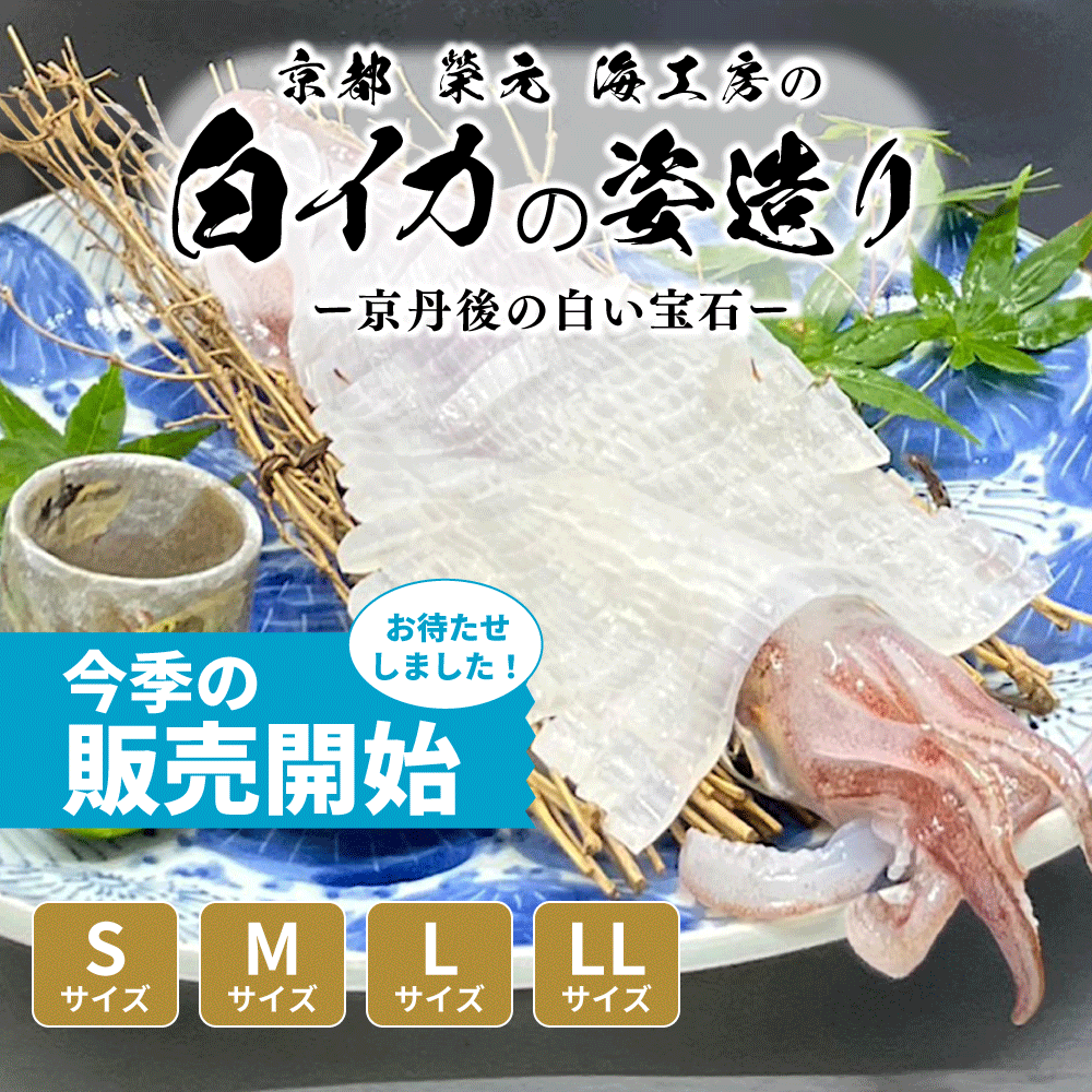 【白イカの姿造り】販売開始しました！！